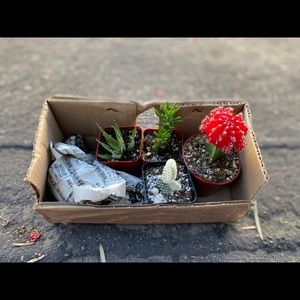 Meet your Posher, Wendy